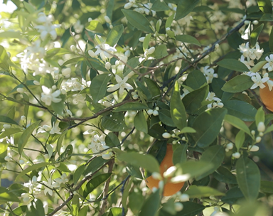 Ecoturismo Mula, Murcia